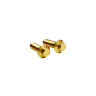 2 PCS Gold Stainless Steel for H-D Low Rider/ Low Rider S Instrument