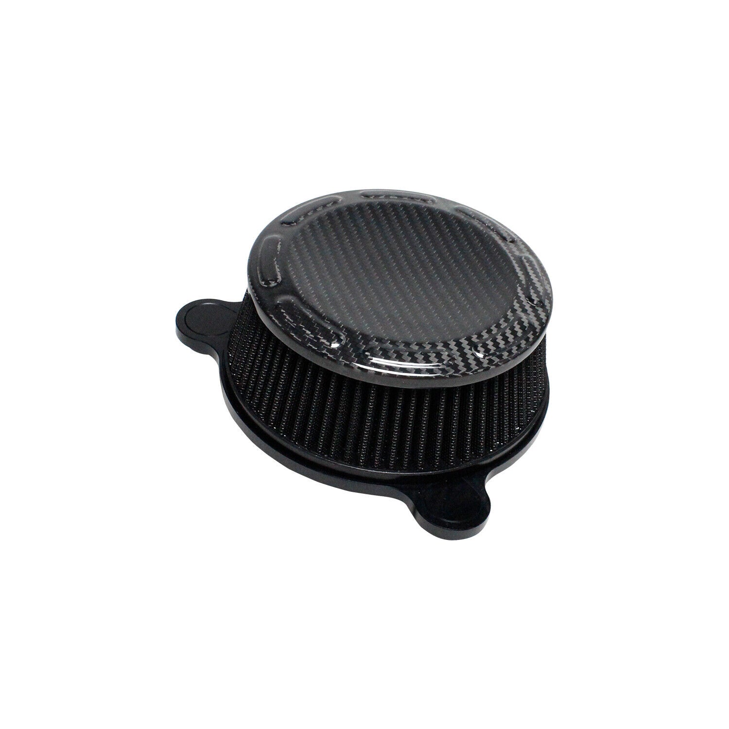 Carbon Fiber Air Filter for Harley Davidsons 18-23 Softail, 17-23 Touring