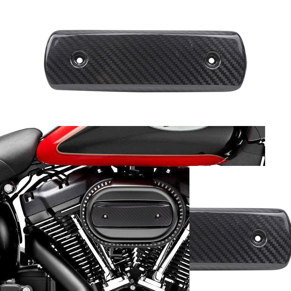 Carbon Fiber Air Clear Trim