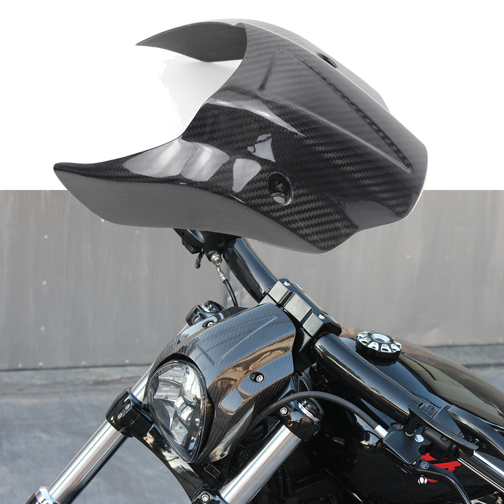 Carbon Fiber Fairing for FXBR 18-later- Clear-Painted