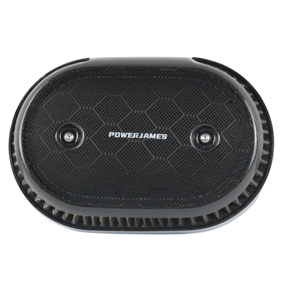 Carbon Fiber Python Design 114 Air Filter Trim Cover