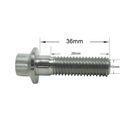 Titanium M10 Bolts for Calipers-90mm-1
