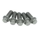 5/16" Titanium Mounting Screws for Front Brake Rotors-Silver-1