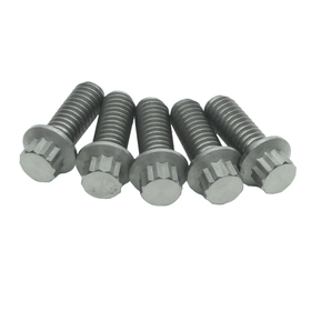 5/16" Titanium Mounting Screws for Front Brake Rotors-Silver