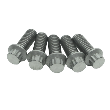 5/16" Titanium Mounting Screws for Front Brake Rotors-Silver