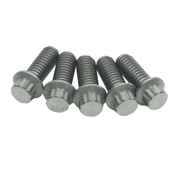 5/16" Titanium Mounting Screws for Front Brake Rotors-Silver