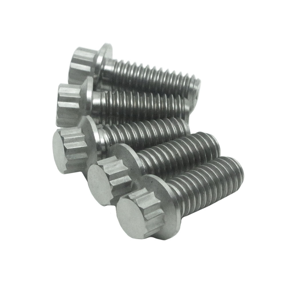 5/16" Titanium Mounting Screws for Front Brake Rotors-Silver