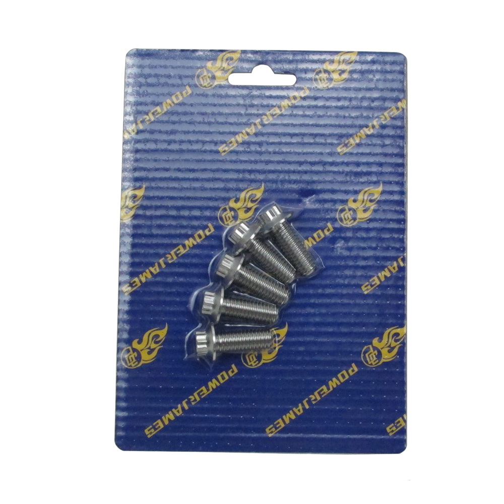 5/16" Titanium Mounting Screws for Rear Brake Rotors-Silver