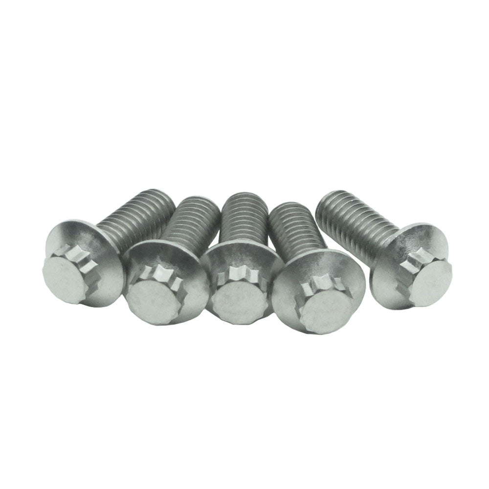 5/16" Titanium Mounting Screws for Rear Brake Rotors-Silver