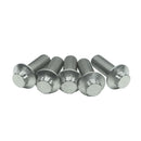 5/16" Titanium Mounting Screws for Rear Brake Rotors-Silver-3