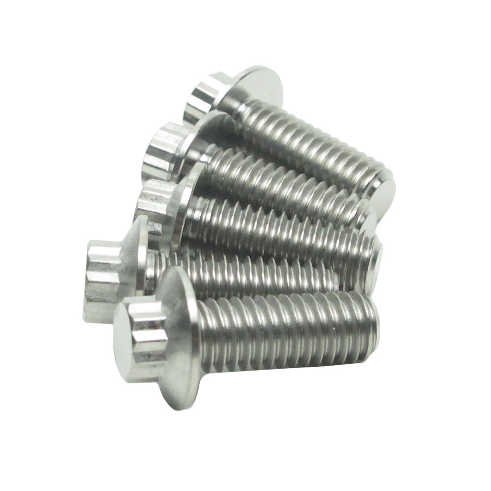 5/16" Titanium Mounting Screws for Rear Brake Rotors-Silver