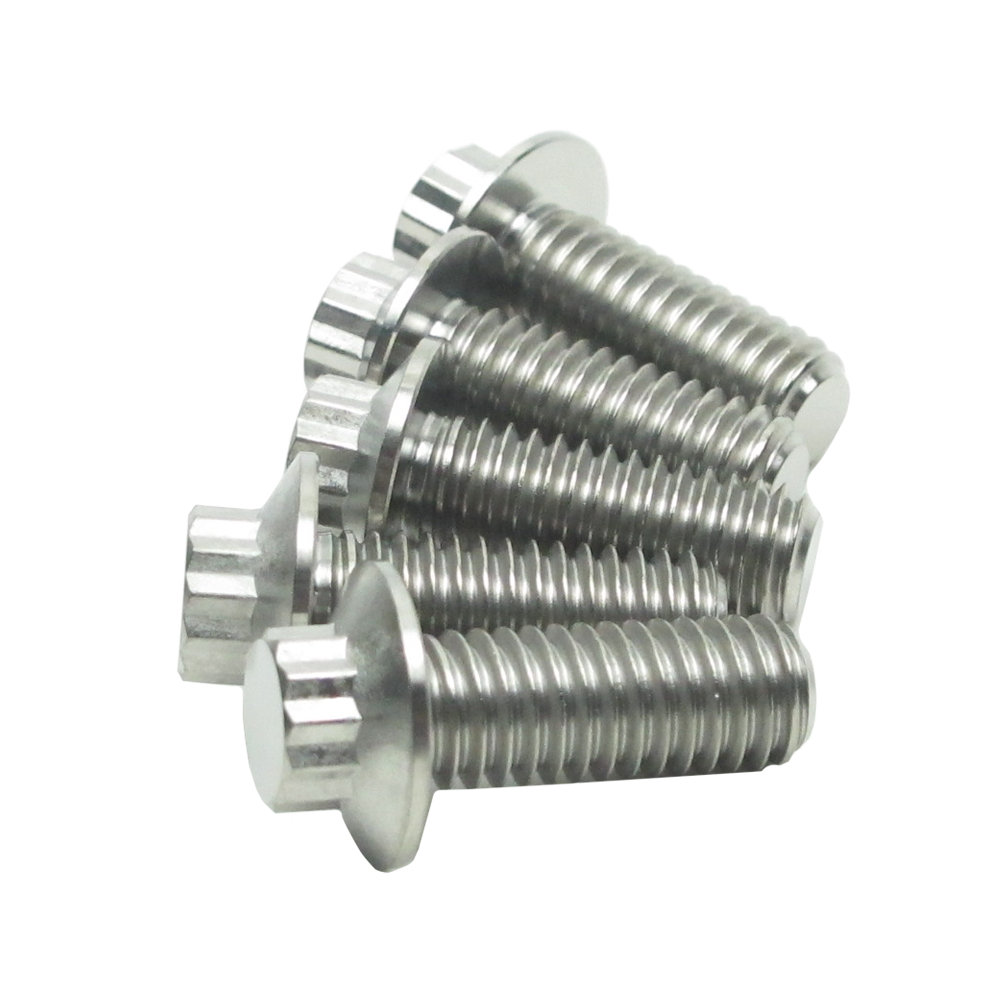 5/16" Titanium Mounting Screws for Rear Brake Rotors-Silver