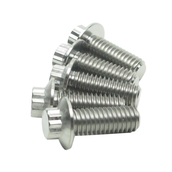 5/16" Titanium Mounting Screws for Rear Brake Rotors-Silver