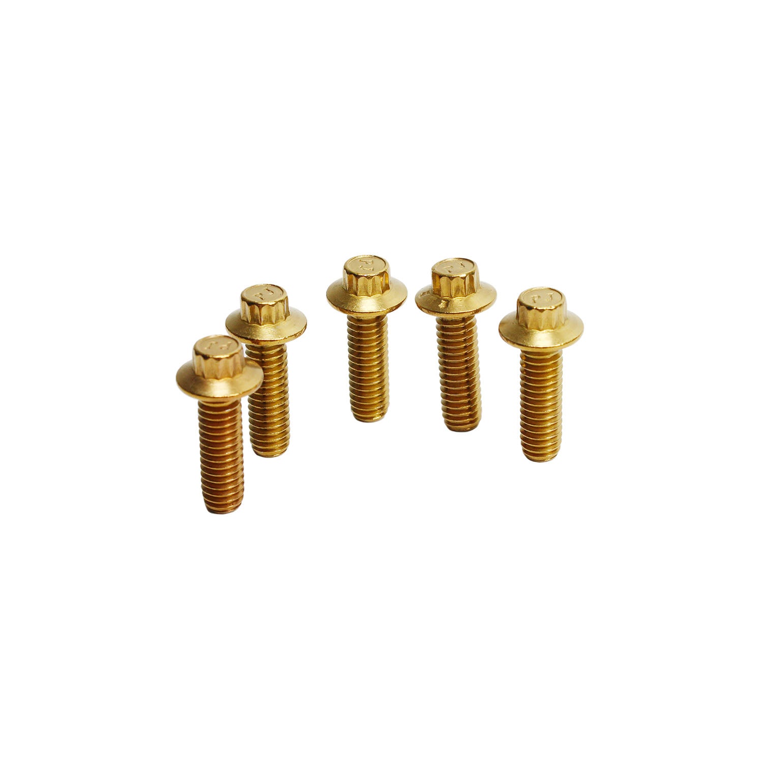 Golden 5/16" Stainless Steel Mounting Screws for Harley Davidson Front Brake Rotors