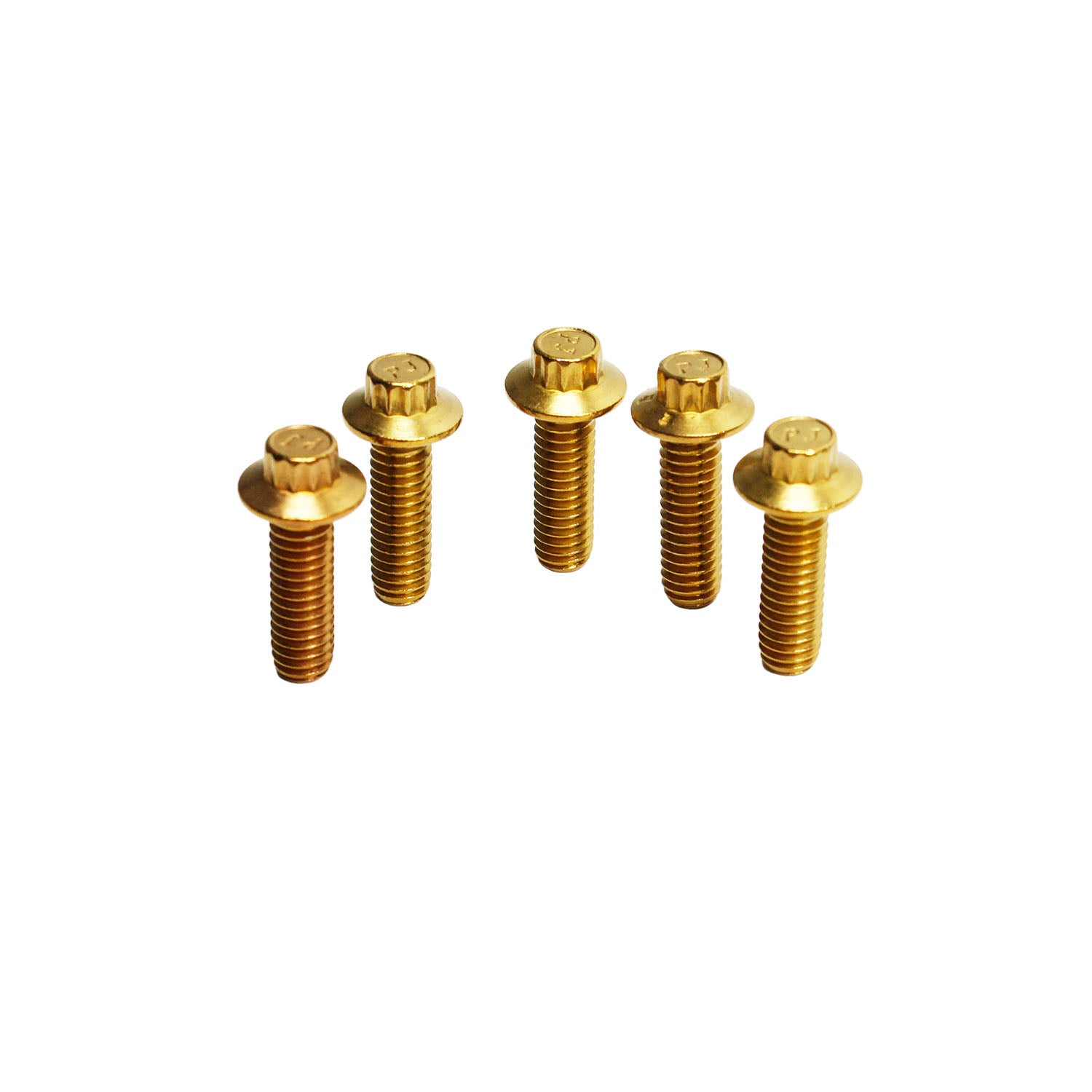 Golden 5/16" Stainless Steel Mounting Screws for Harley Davidson Front Brake Rotors