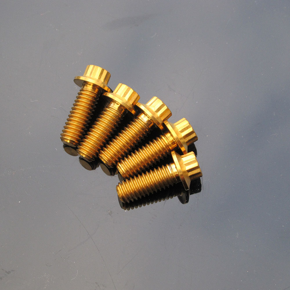 5/16" Titanium Mounting Screws for Brake Rotors-Golden