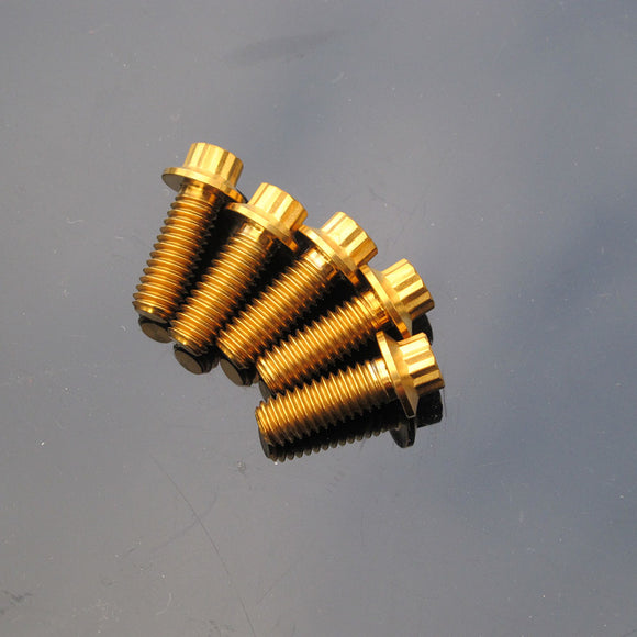 5/16" Titanium Mounting Screws for Brake Rotors-Golden