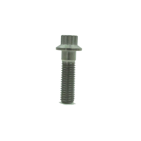 5/16" Titanium Mounting Screws for Rear Brake Rotors-Silver