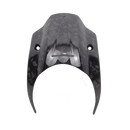 Carbon Fiber Fairing for FXBR 18-Later- Marbling-1